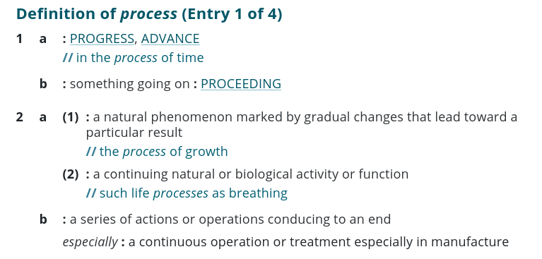 the definition of a process